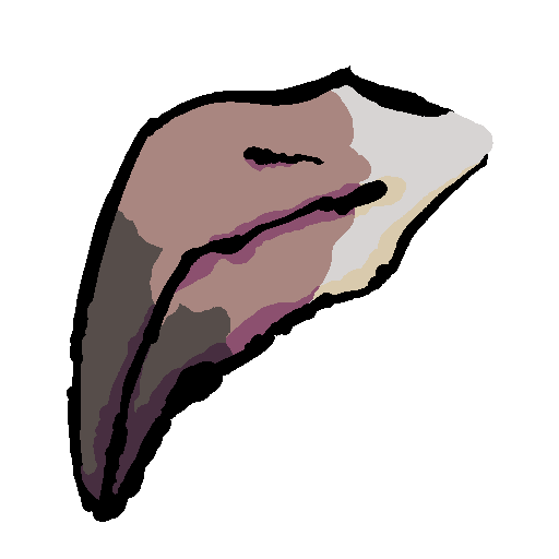 a long, curved flamingo beak. the middle portion is pink, with the tip being a dark brown and the portion near where the face would be is white